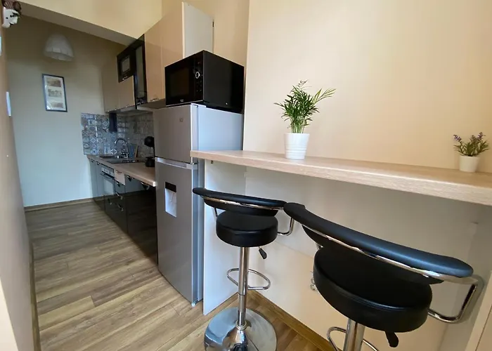 Cozy In Downtown - Tsar Samuil Street *